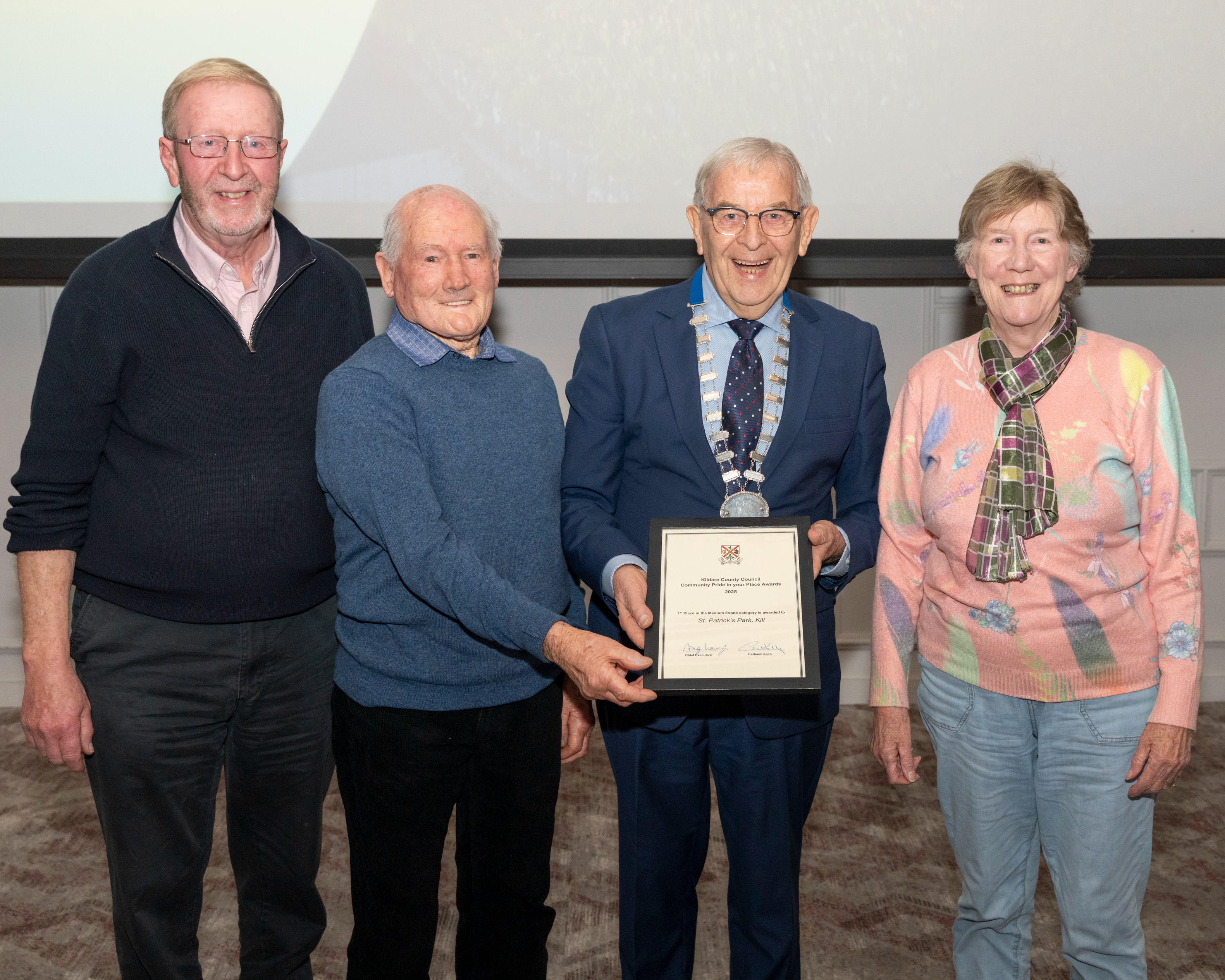 Saint Patricks Park,Kill